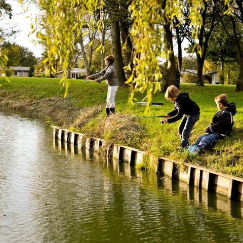 Vakantiepark Het Grootslag - Camping Hollands Kroon - Image N°3