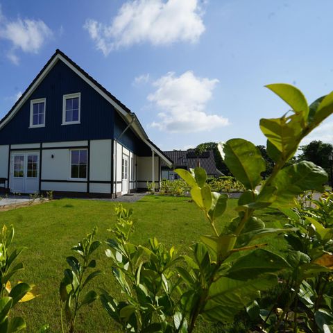 Ferienhaus 8 personen - Sauna Daelenbroeck