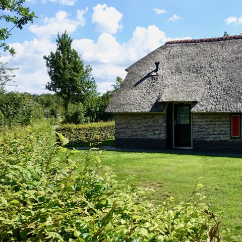 Vakantiepark De Lourenshoeve - Camping Twenterand - Image N°3