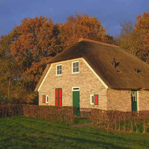 Vakantiepark De Lourenshoeve - Camping Twenterand - Image N°4
