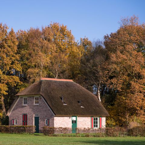 Vakantiepark De Lourenshoeve - Camping Twenterand - Image N°5