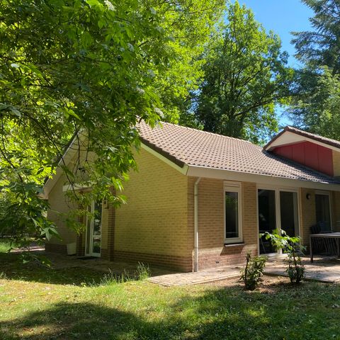 Bungalow 6 Personen - Douglas