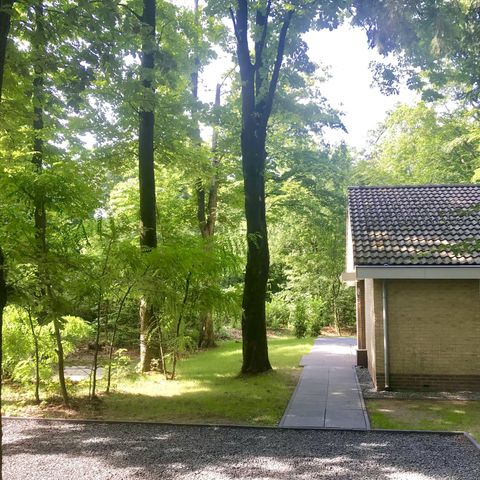Bungalow 4 Personen - Kastanie
