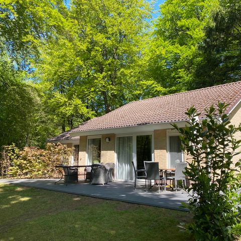 Bungalow 4 Personen - Kastanie