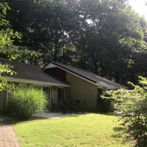 Bungalow 4 Personen - Kastanie