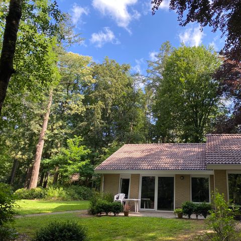 Bungalow 4 Personen - Kastanie