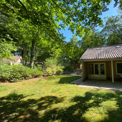 Bungalow 4 Personen - Calluna
