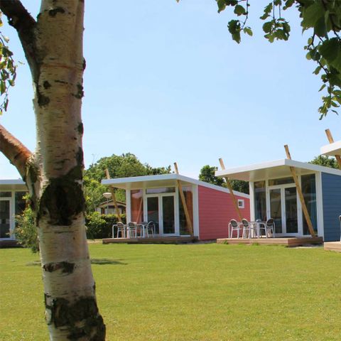 Molecaten Park Waterbos - Camping Westvoorne - Image N°4