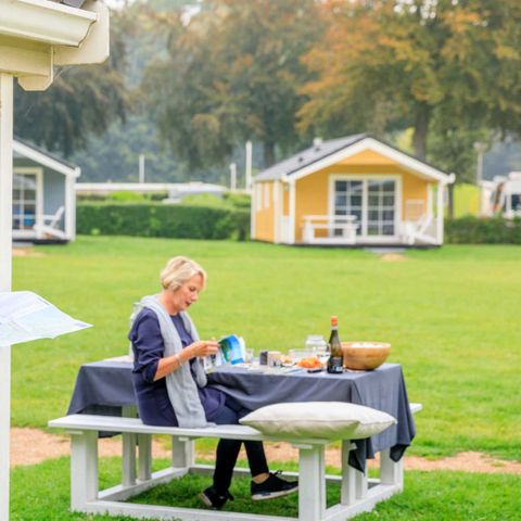 Molecaten Park Waterbos - Camping Westvoorne - Image N°6