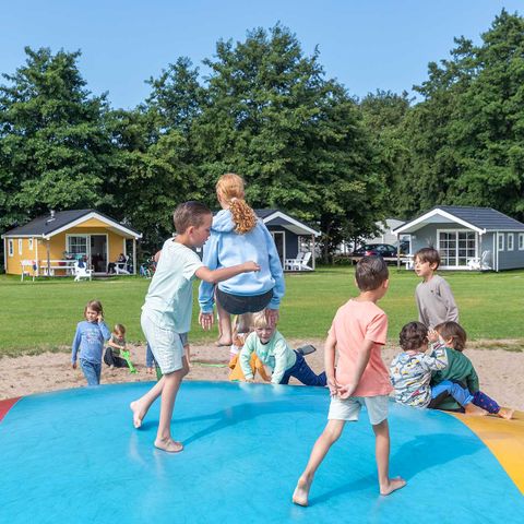 Molecaten Park Waterbos - Camping Westvoorne - Image N°3