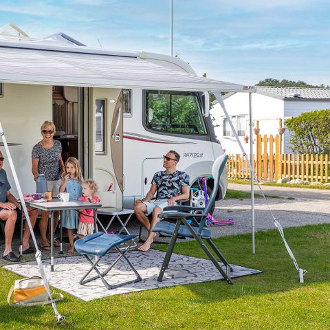 Molecaten Park Rondeweibos - Camping Westvoorne - Image N°5