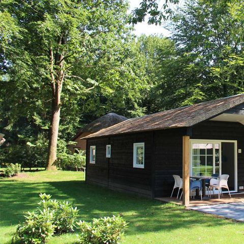 Bungalow 4 Personen - Hanse