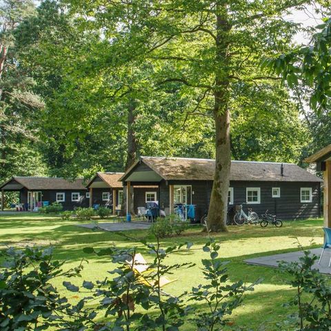 FERIENHAUS 4 Personen - Hanse