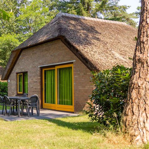 FERIENHAUS 6 Personen - Hattem
