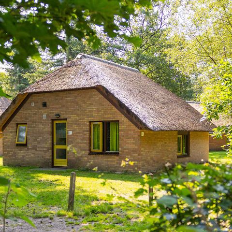 FERIENHAUS 6 Personen - Hattem