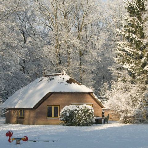 Bungalow 6 Personen - Veluwe