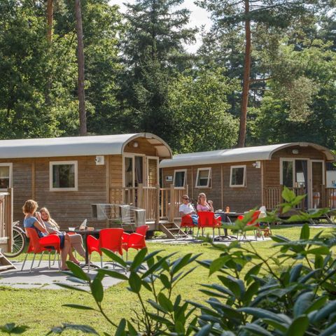 Mobilheim 4 Personen - 2+2 (bis 12 Jahre) Zirkuswagen