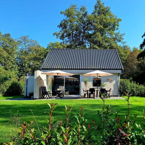 Bungalow 6 Personen - Pappel 49