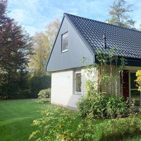 Bungalow 6 Personen - Pappel | 4+2 Personen