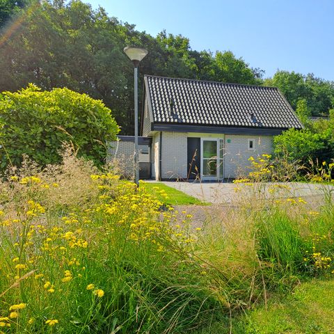 Bungalow 6 Personen - Pappelhaushalt | 4+2 Personen