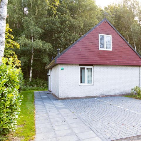 Bungalow 6 Personen - Pappelhaushalt | 4+2 Personen