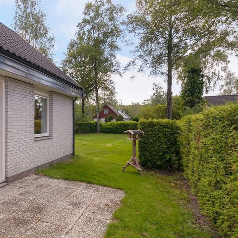 Bungalow 6 Personen - Pappelhaushalt | 4+2 Personen