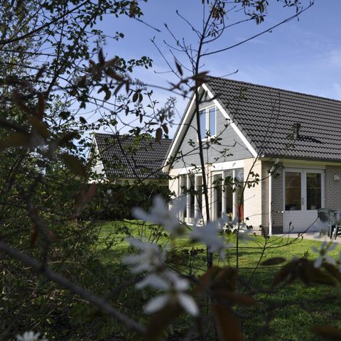 Bungalow 8 Personen - Ahorn