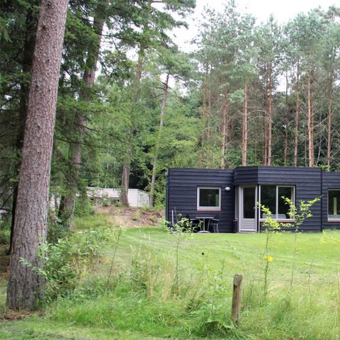 FERIENHAUS 4 Personen - Panorama