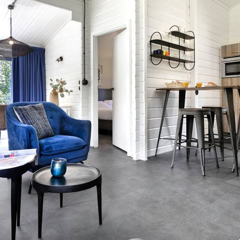 FERIENHAUS 6 Personen - Zuylestein