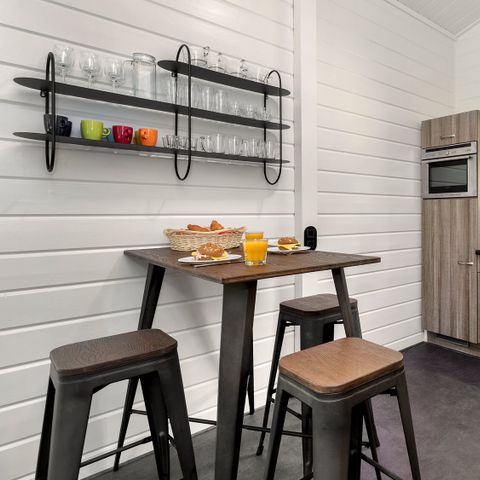 FERIENHAUS 6 Personen - Zuylestein