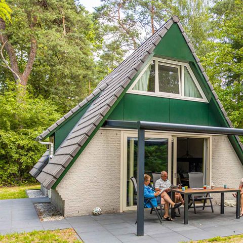 FERIENHAUS 4 Personen - Reehorst