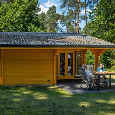 FERIENHAUS 4 Personen - Dartheide