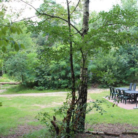 FERIENHAUS 8 Personen - 8 Pers. vakantiehuisje Heidestein