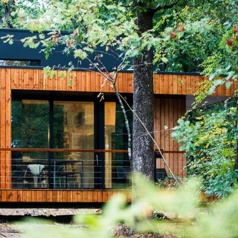 Chalet 6 personen - Waldwürfel Tradtion (max. 4 Erwachsene)