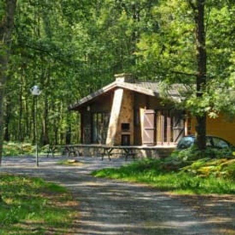 Chalet 6 Personen - Fuchs - Oignies 50