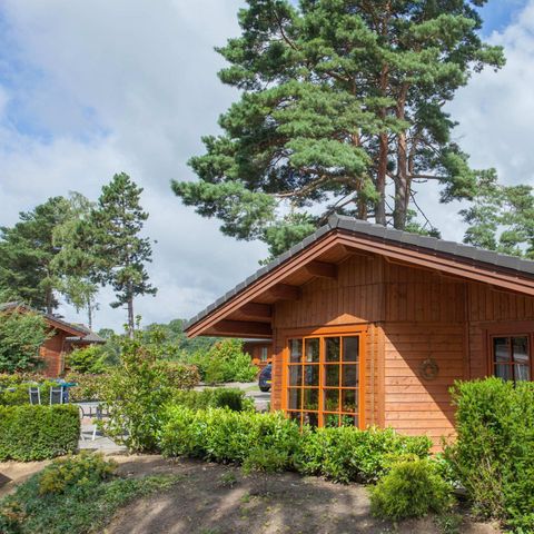 FERIENHAUS 6 Personen - Boekhorst Royal