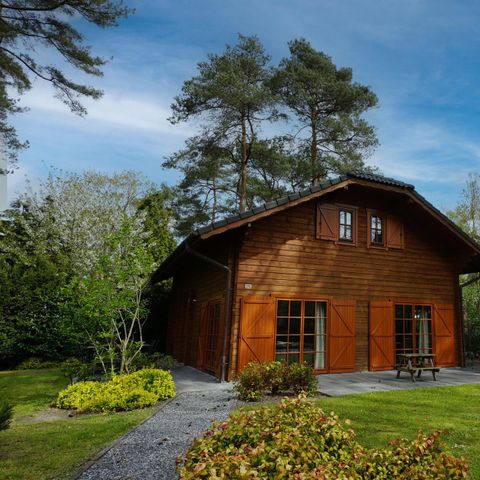 FERIENHAUS 12 Personen - Boekhorst l'etage