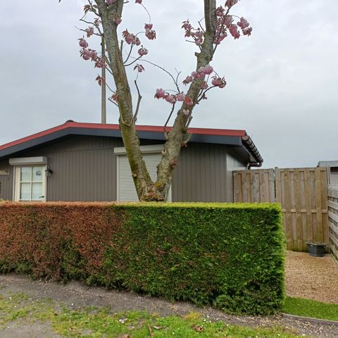 Chalet 5 Personen - Luxuriöses Holzchalet