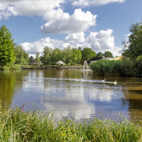 Center Parcs Limburgse Peel - Horst an der Maas - Image N°6