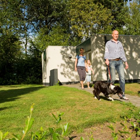 Bungalow 4 Personen - H4A Komfort