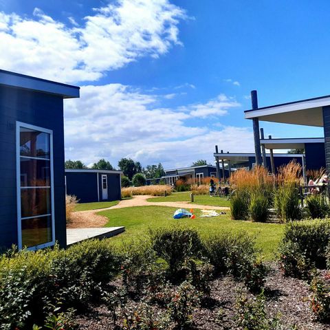 LODGE 6 Personen - Comfort Lodge | 6 Personen (50 m²) - Hunde erlaubt