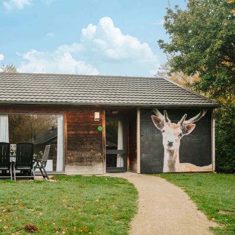 Bungalow 6 Personen - Damhert inkl. Sauna