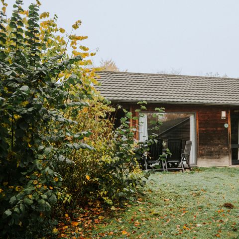 Bungalow 6 Personen - Damhert inkl. Sauna und inkl. Eintritt Safaripark Beekse Bergen