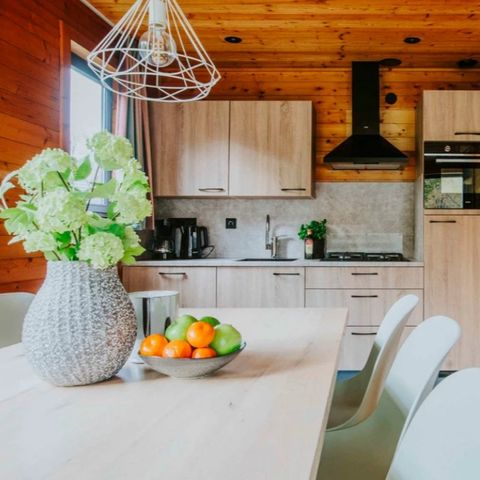 Bungalow 6 Personen - Damhert Sauna & Whirlpool