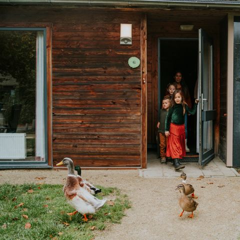 Bungalow 6 Personen - Damhert Sauna & Whirlpool