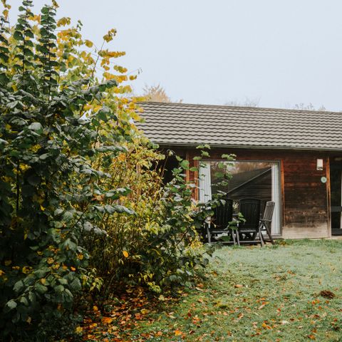 Bungalow 6 Personen - Damhert Hottub & Sauna inkl. Eintritt Safaripark Beekse Bergen