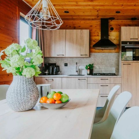 Bungalow 6 Personen - Kidsbungalow Damhert inkl. Sauna & Whirlpool