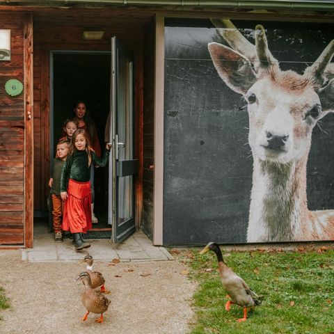 Bungalow 6 Personen - Kidsbungalow Damhert inkl. Sauna & Whirlpool