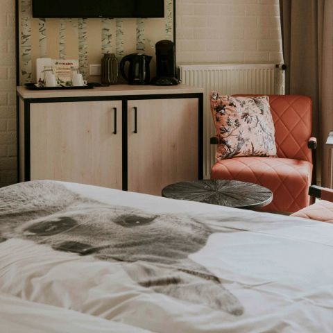 Studio 2 personen - Studio
