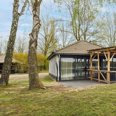 Bungalow 5 Personen - Forest Jungalow - renoviert